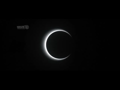 Porte optique de barrière de vitesse d'immeuble de bureaux de tourniquet de créneau de vitesse d'AC100-240V